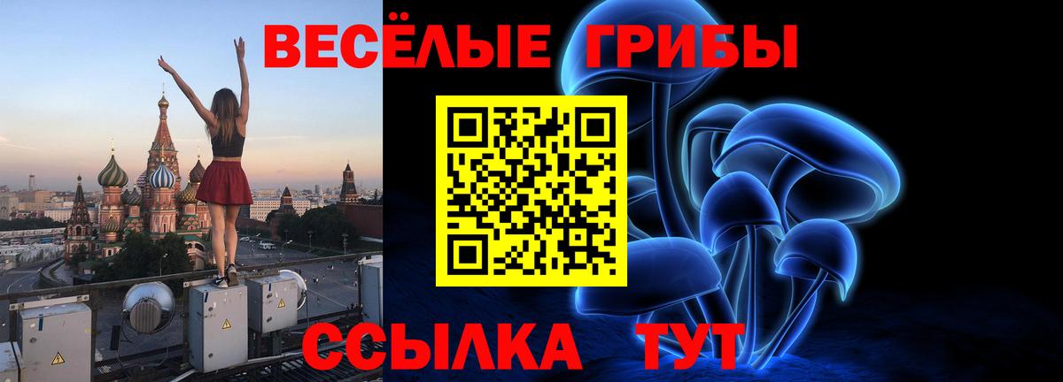 Галлюциногенные грибы Psilocybe  Вход с VPN  Омск 